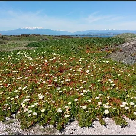 Cosi Place Martinique